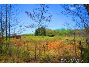 1424 Prince Road Columbus, NC 28722 - Photo 6 of 7