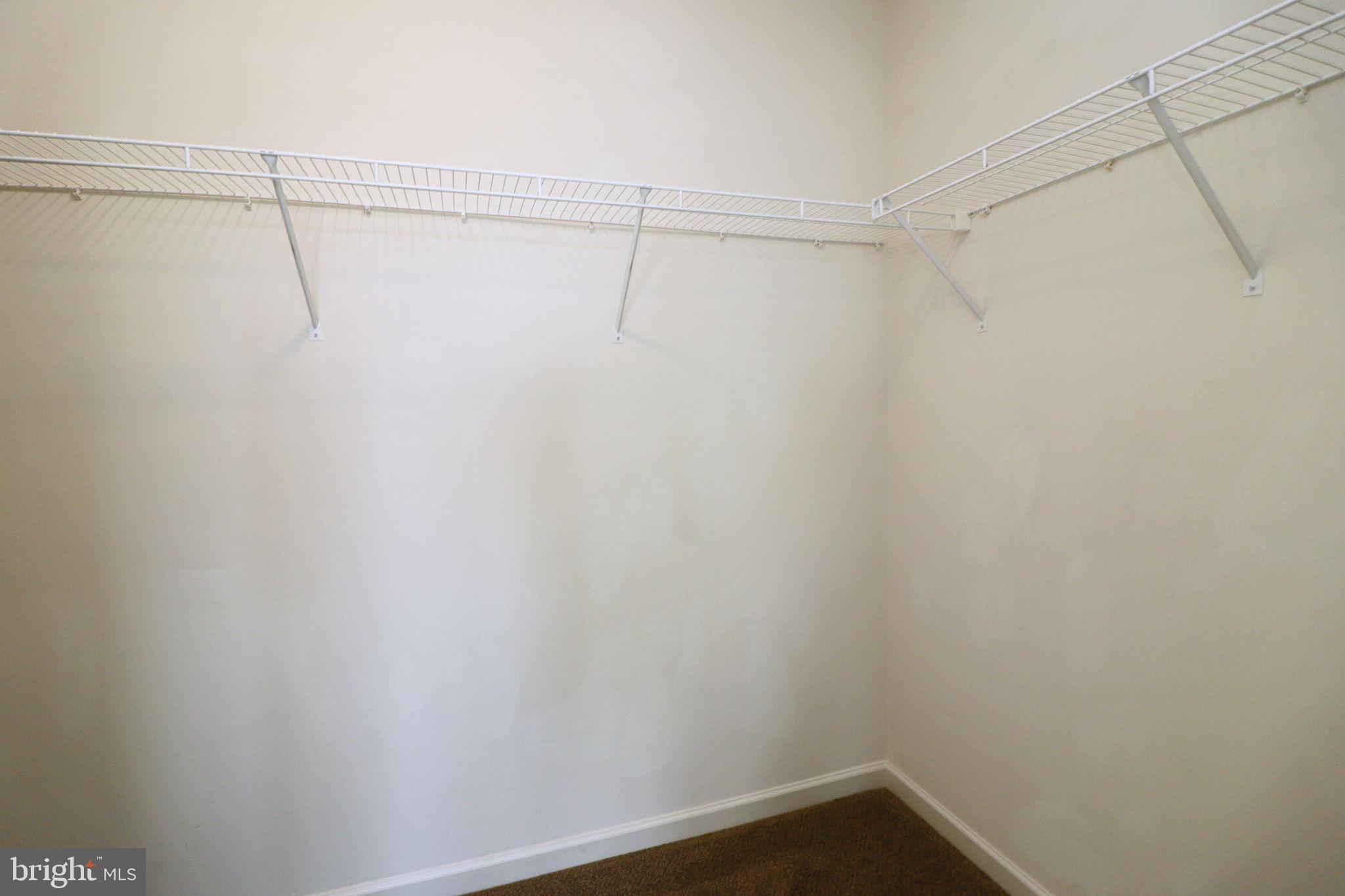605 Thumper Drive Ranson, WV 25438 - Photo 36 of 47 Walk-In Closet