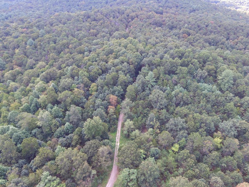 0 Wrangletown Road Shirleysburg, PA 17260 - Photo 22 of 28 Gallery Image 22