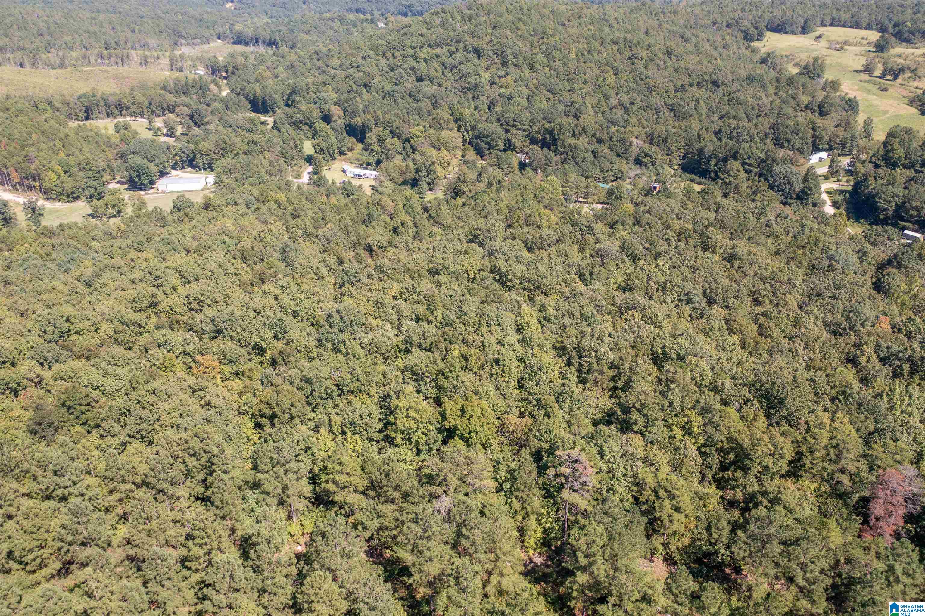 0 Dripping Rock Road Jacksonville, AL 36265 - Photo 8 of 14