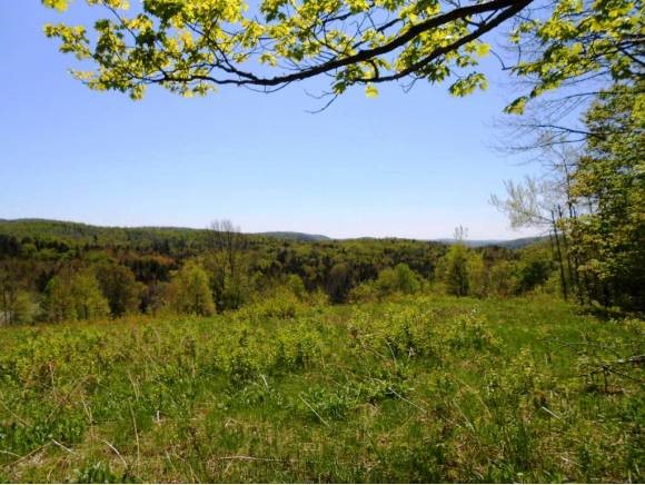 9282 Vermont Rte 100 Whitingham, VT 05361 - Photo 22 of 24