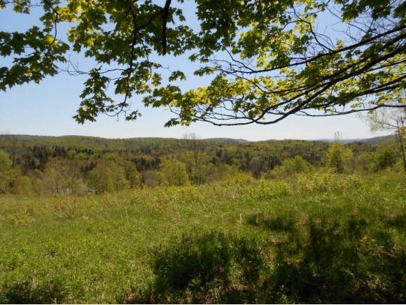 9282 Vermont Rte 100 Whitingham, VT 05361 - Photo 5 of 24