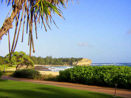 2432 Linaka Road Koloa, HI 96756 - Photo 3 of 25 a view of a lake with a big yard