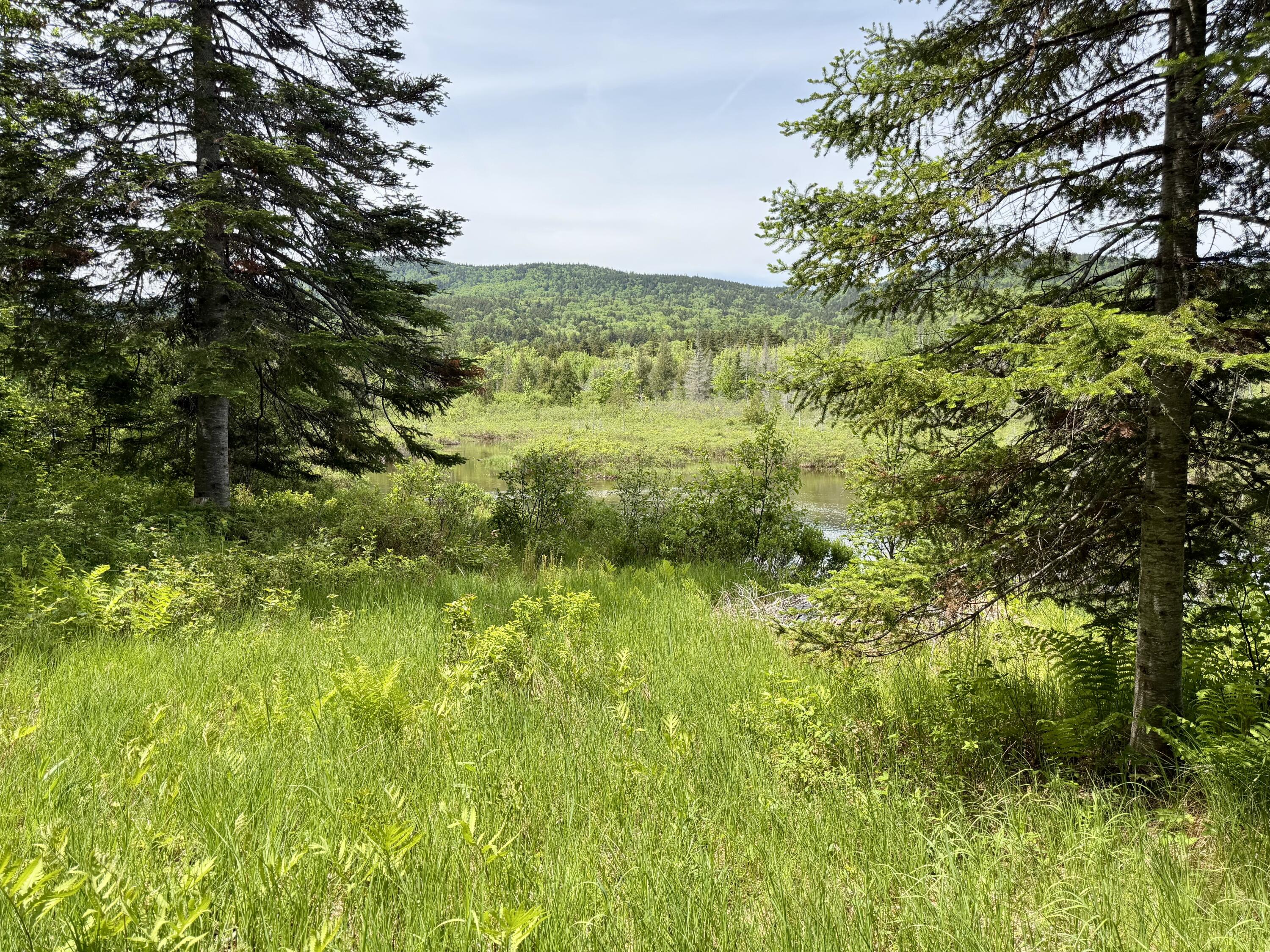 34 Bypass Road Sandy River Plt, ME 04970 - Photo 4 of 36 View