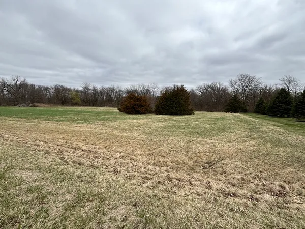 a view of a field with an ocean