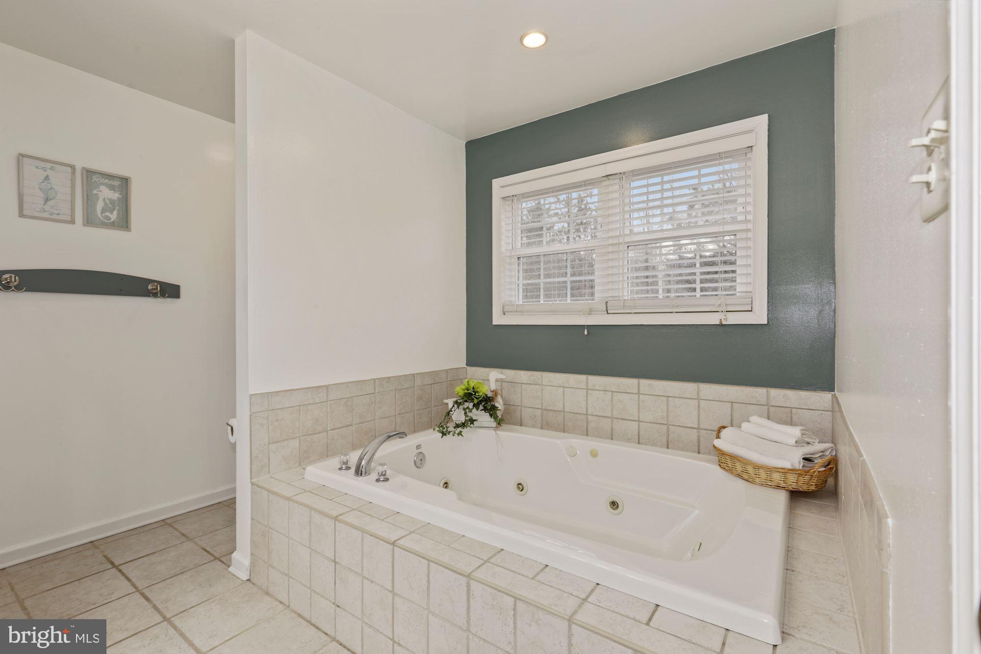 33740 Shockley Road Parsonsburg, MD 21849 - Photo 20 of 35 Primary Bath