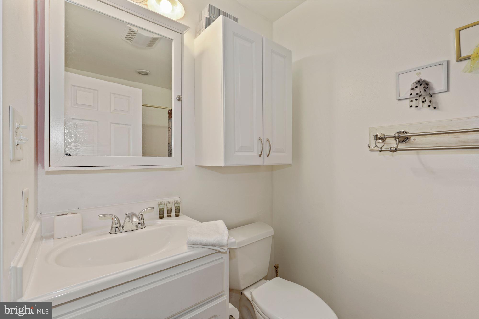33740 Shockley Road Parsonsburg, MD 21849 - Photo 28 of 35 In-Law-Suite Bath