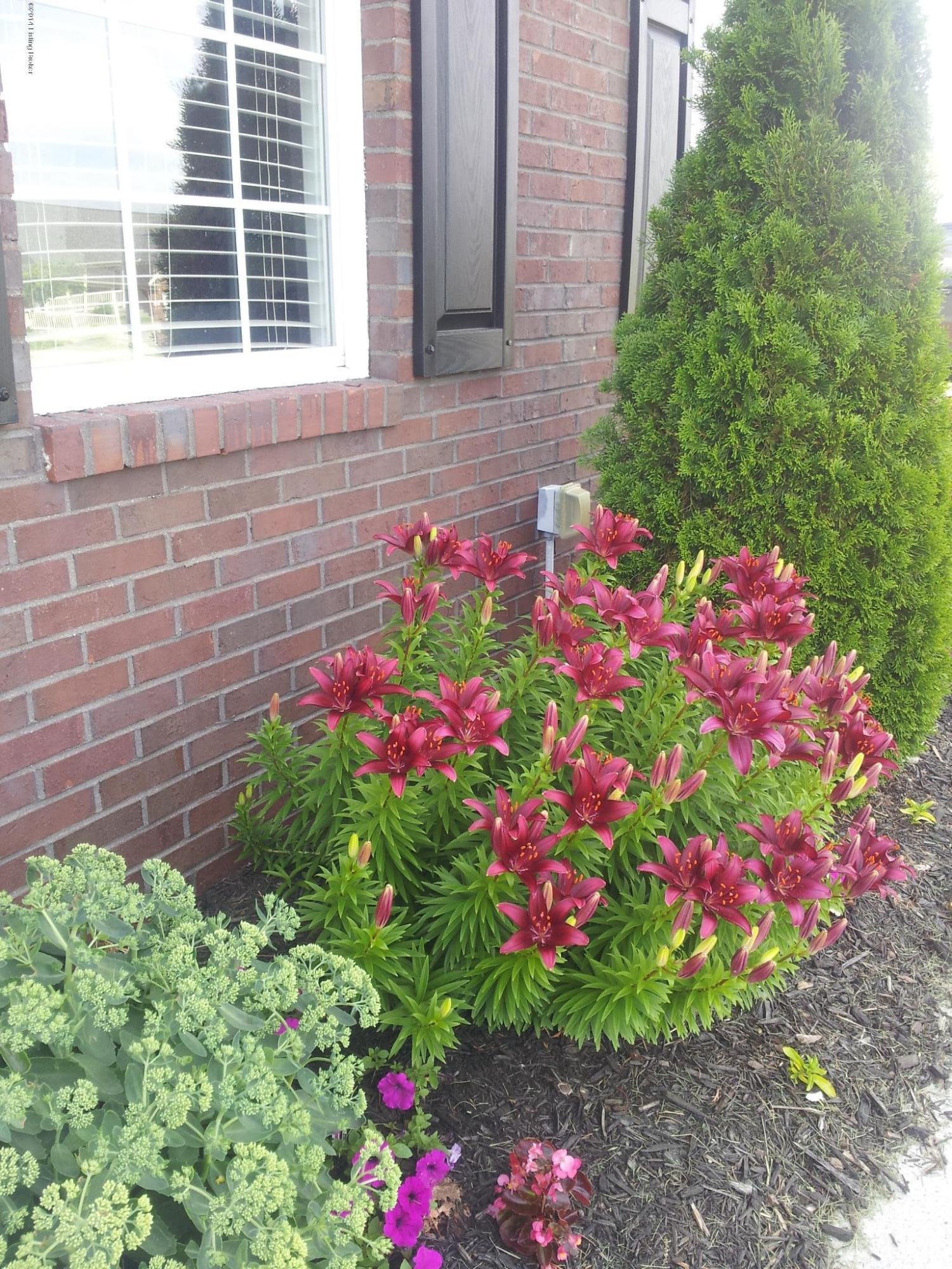 102 Jericho Ridge Court Smithfield, KY 40068 - Photo 26 of 27 landscaping in the front of house