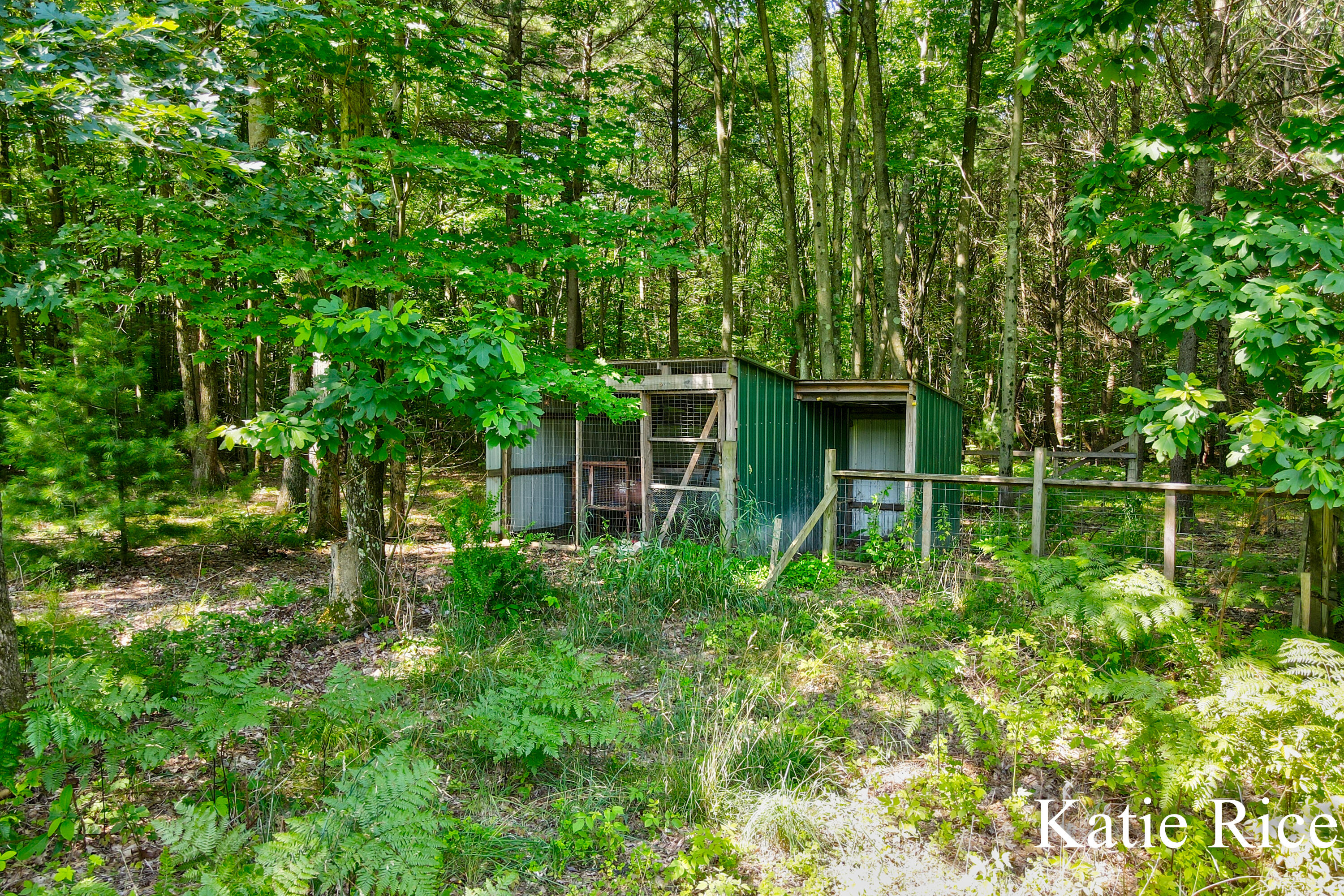 1975 Orshal Road Muskegon, MI 49445 - Photo 61 of 65 Katie Rice 1975 Orsha Rd-61