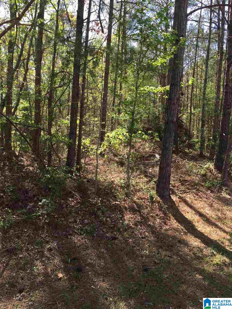 1331 Cedar Creek Road, Unit 4 ACRES Odenville, AL 35120 - Photo 10 of 20