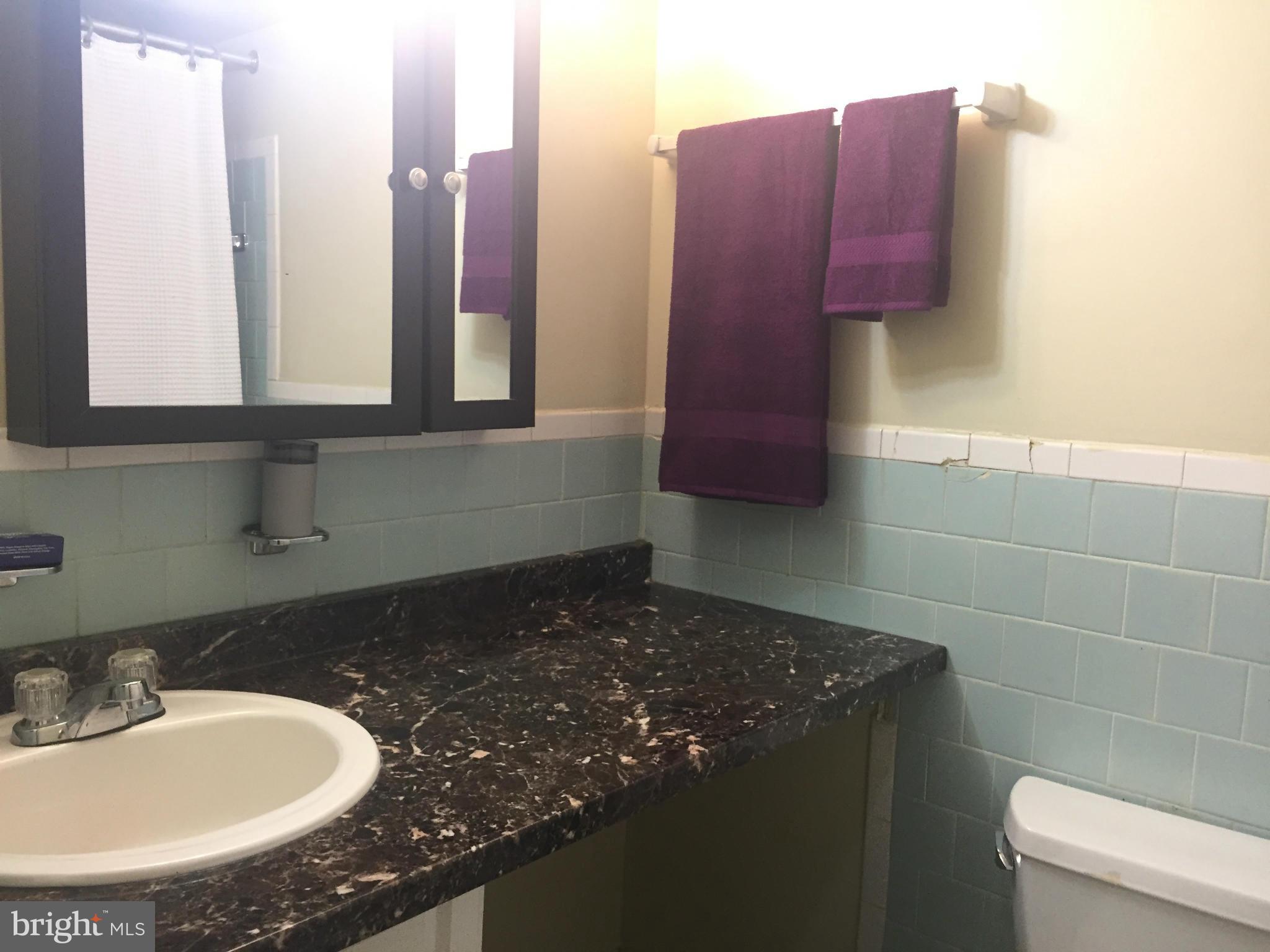 3940 Bel Pre Road, Unit 3 Silver Spring, MD 20906 - Photo 6 of 11 Bath