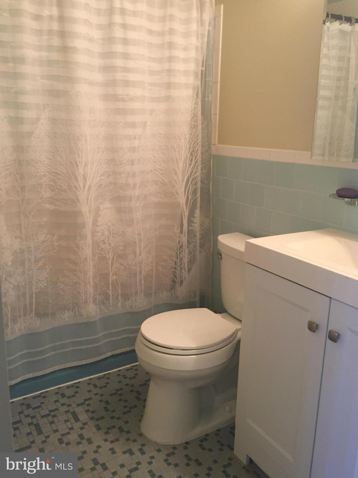 3940 Bel Pre Road, Unit 3 Silver Spring, MD 20906 - Photo 10 of 11 Bath