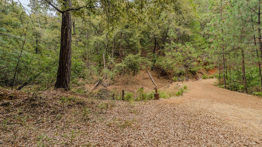 12511 Tabeaud Road Pine Grove, CA 95665 - Photo 76 of 99 Gallery Image 76