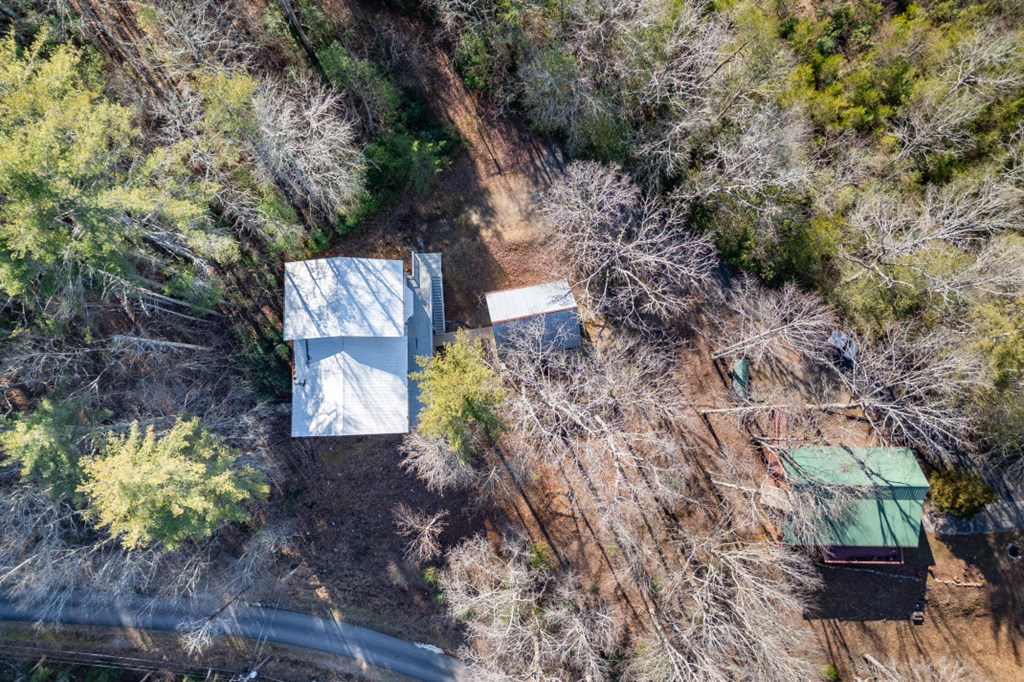 144 River Watch Terrace Murphy, NC 28906 - Photo 46 of 60 a view of a yard with plants and large trees