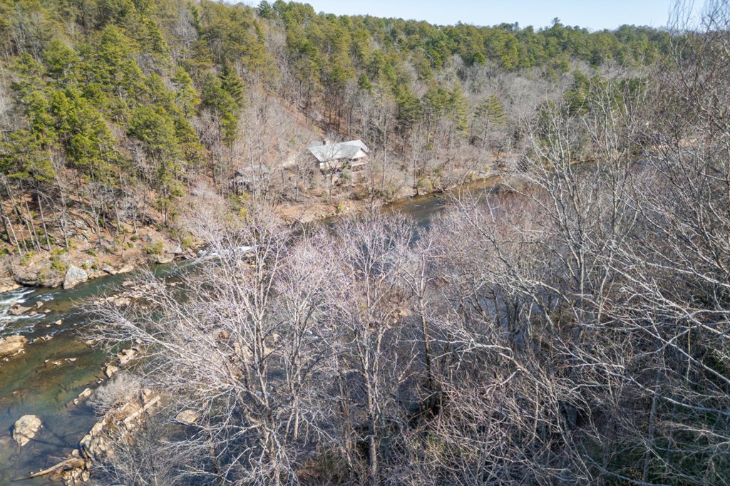 144 River Watch Terrace Murphy, NC 28906 - Photo 57 of 60 a view of a forest with trees in the background