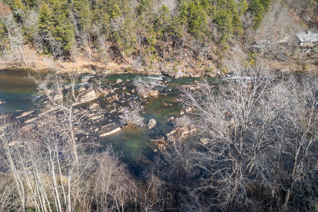 144 River Watch Terrace Murphy, NC 28906 - Photo 58 of 60 a view of tree