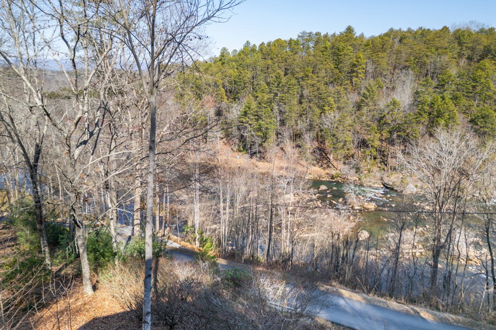 144 River Watch Terrace Murphy, NC 28906 - Photo 59 of 60 a view of outdoor space and city view