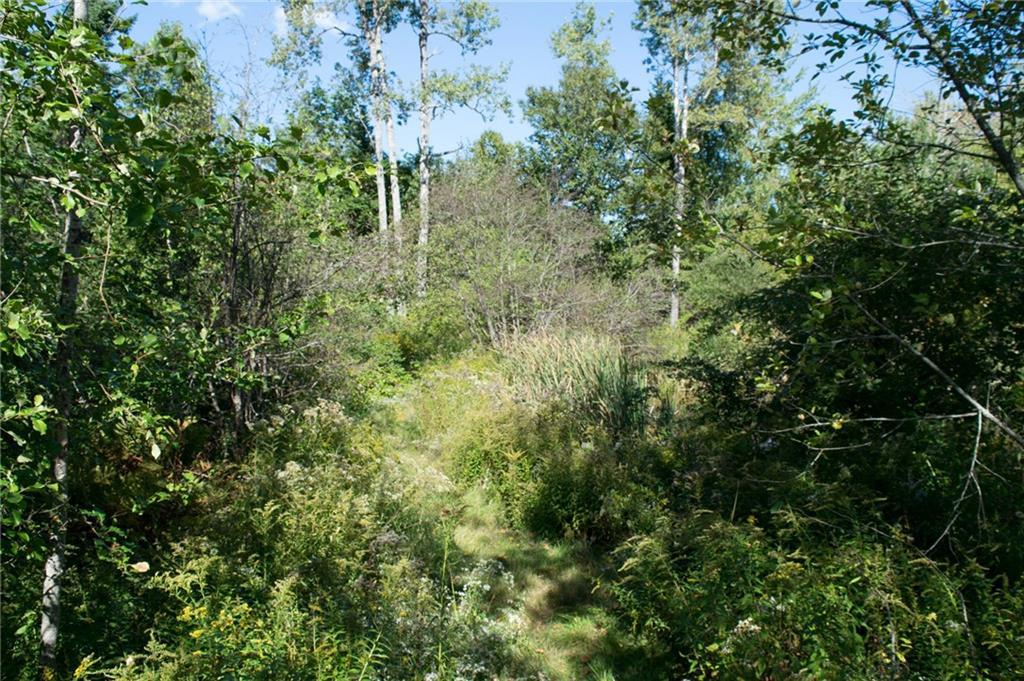 722 A The Shore Road Castine, ME 04421 - Photo 6 of 8 Photo