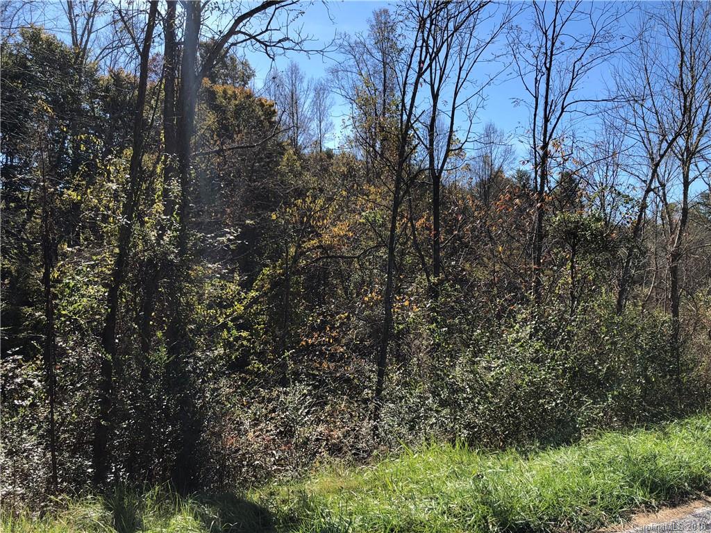 0 Tillery Br Road Marshall, NC 28753 - Photo 12 of 15 Gallery Image 12