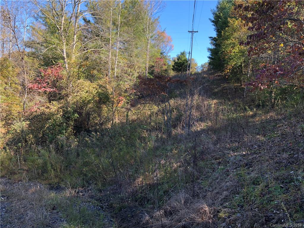 0 Tillery Br Road Marshall, NC 28753 - Photo 15 of 15 Gallery Image 15