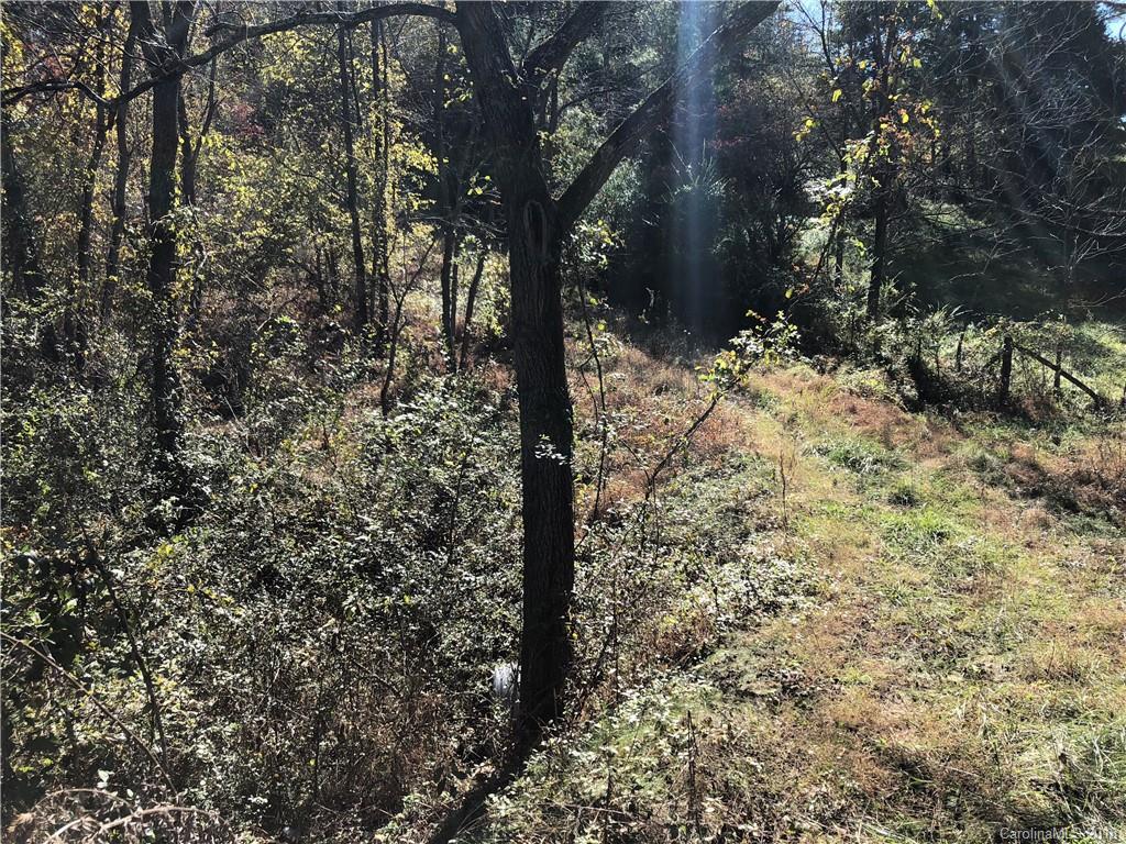 0 Tillery Br Road Marshall, NC 28753 - Photo 6 of 15 Gallery Image 6