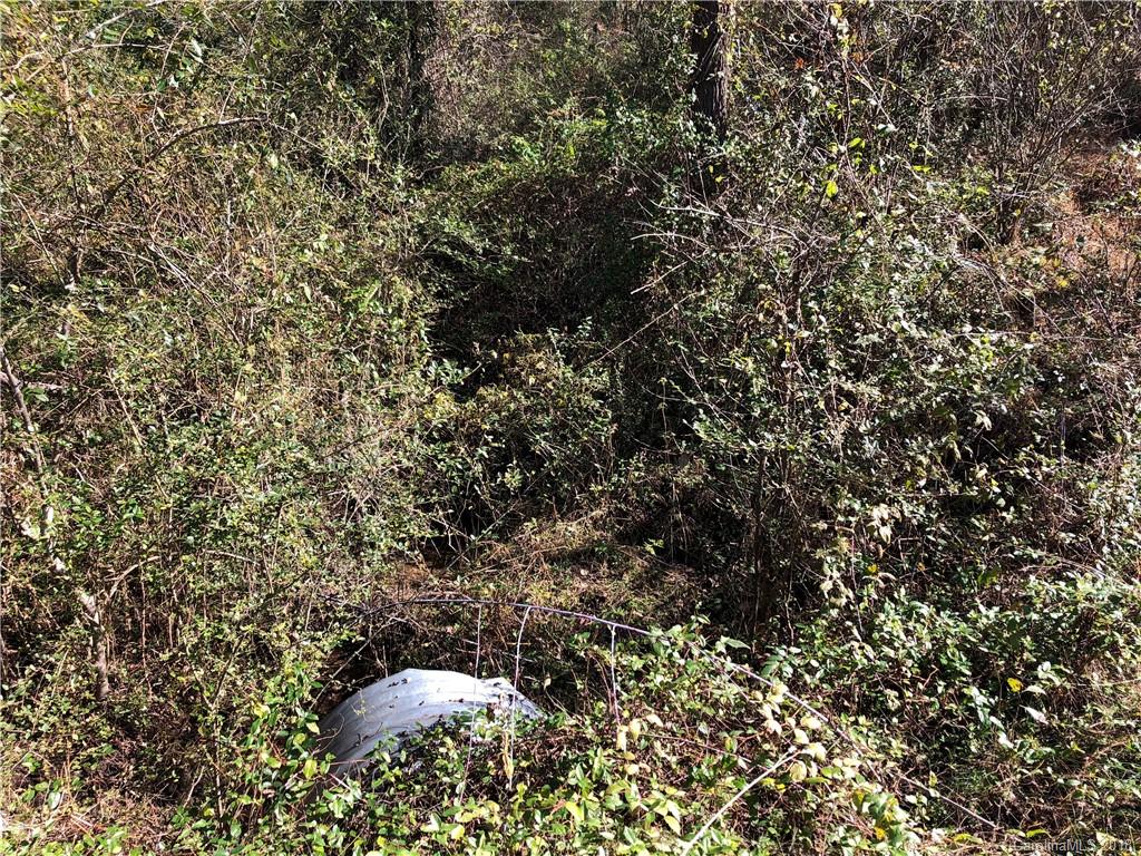 0 Tillery Br Road Marshall, NC 28753 - Photo 7 of 15 Gallery Image 7