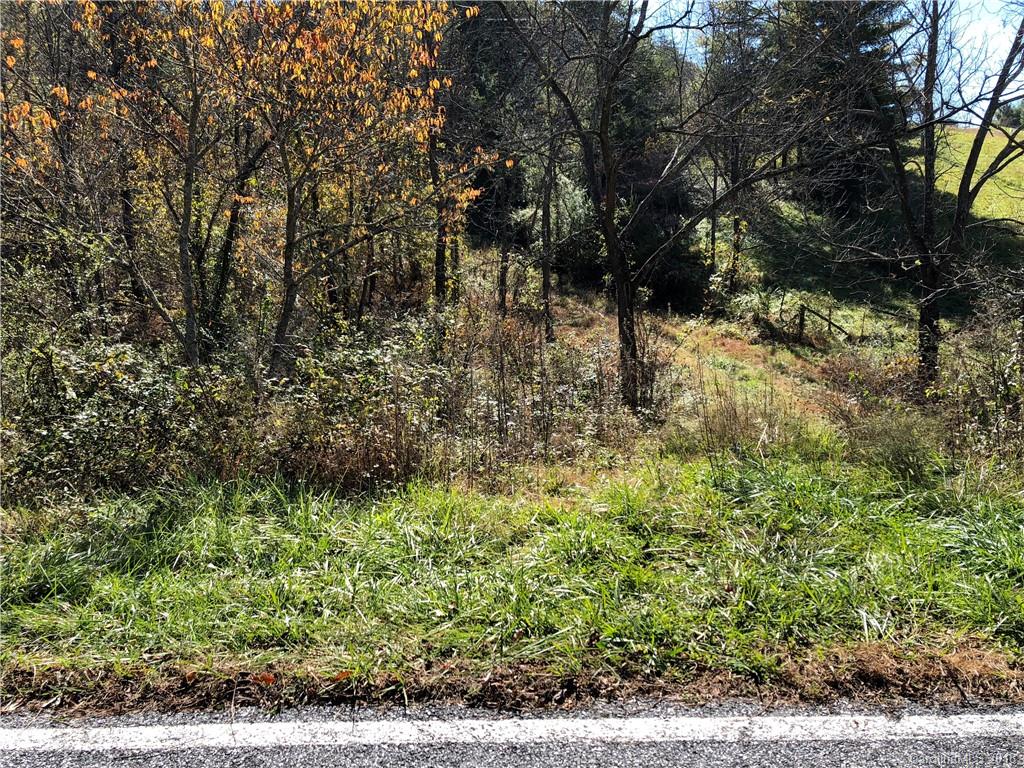 0 Tillery Br Road Marshall, NC 28753 - Photo 10 of 15 Gallery Image 10