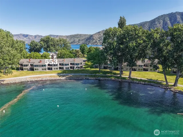 a view of a swimming pool with a yard and a large tree