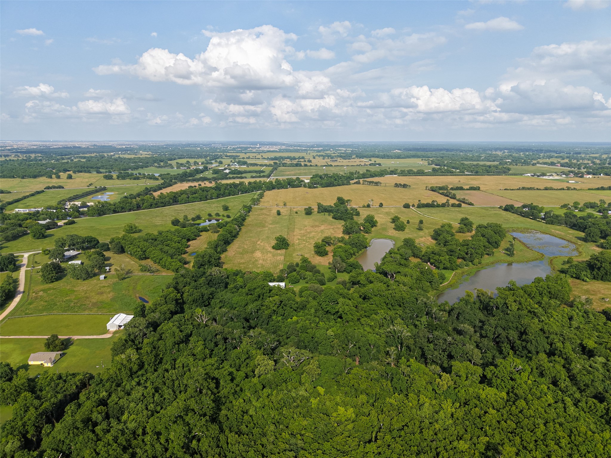 1004 Wagon Road Simonton, TX 77485 - Photo 44 of 46