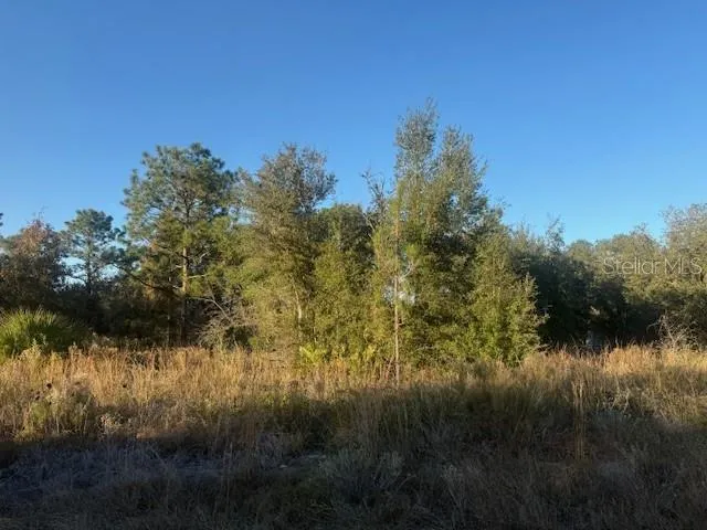 $19,900 | Magnolia Drive, Ocklawaha, FL 32179