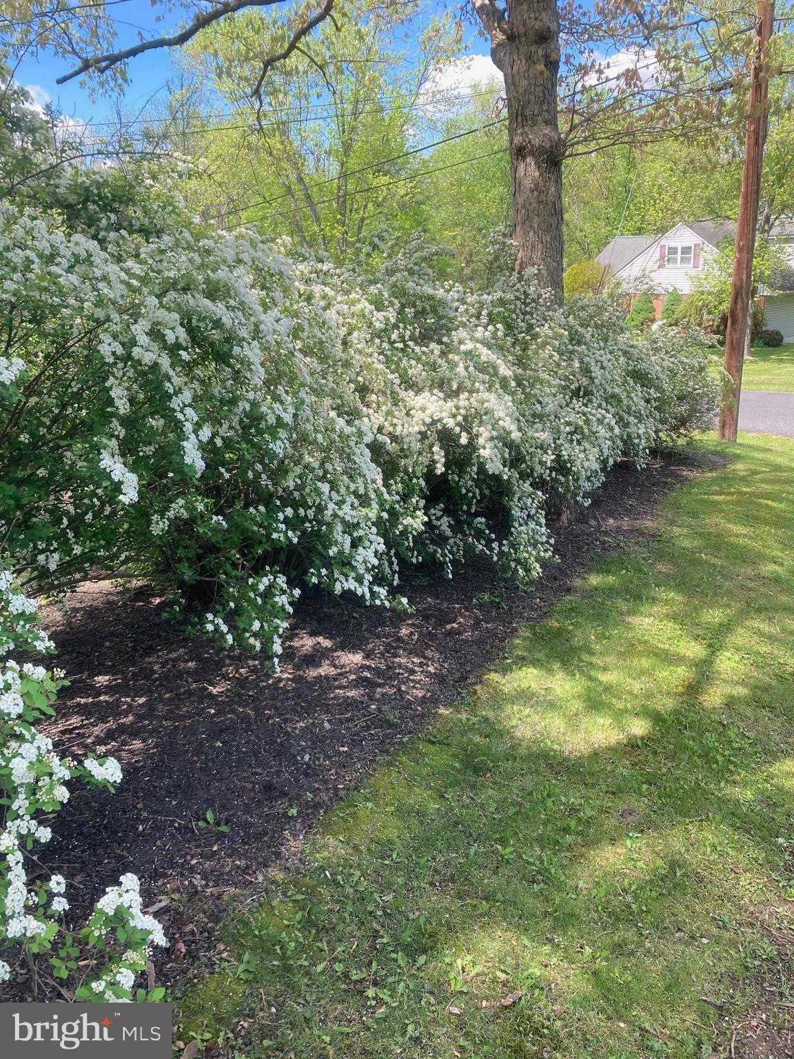30 Hollow Road Telford, PA 18969 - Photo 36 of 38 a backyard of a house with lots of green space
