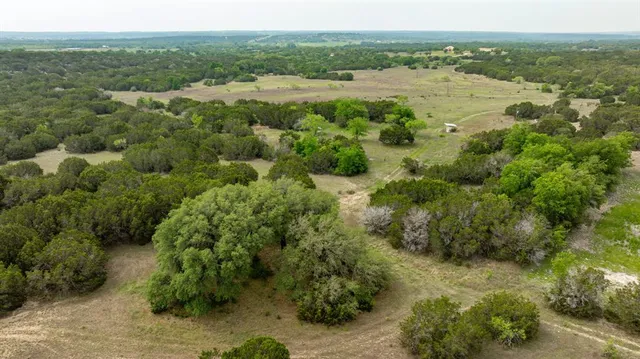 a view of a green field with lots of bushes