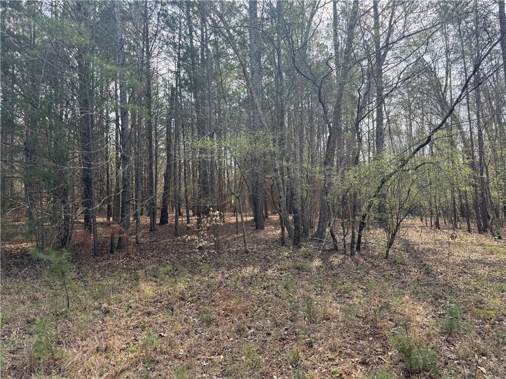 0 Holland Ford Road Pelzer, SC 29669 - Photo 33 of 35