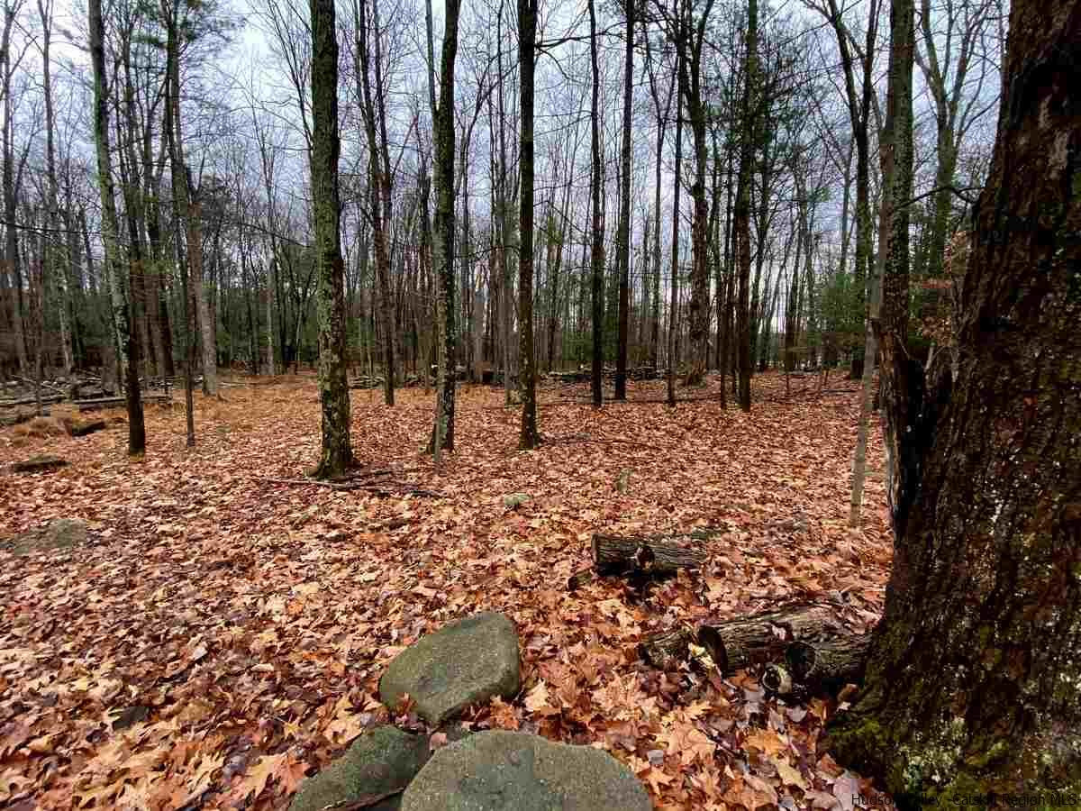 56 Ridge Road Shokan, NY 12481 - Photo 33 of 34 a view of outdoor space with lots of trees