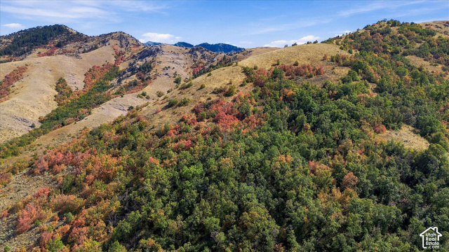 2855 East Canyon Road Richmond, UT 84333 - Photo 11 of 17 Expansive mountainous terrain featuring varied tree coverage and natural vegetation