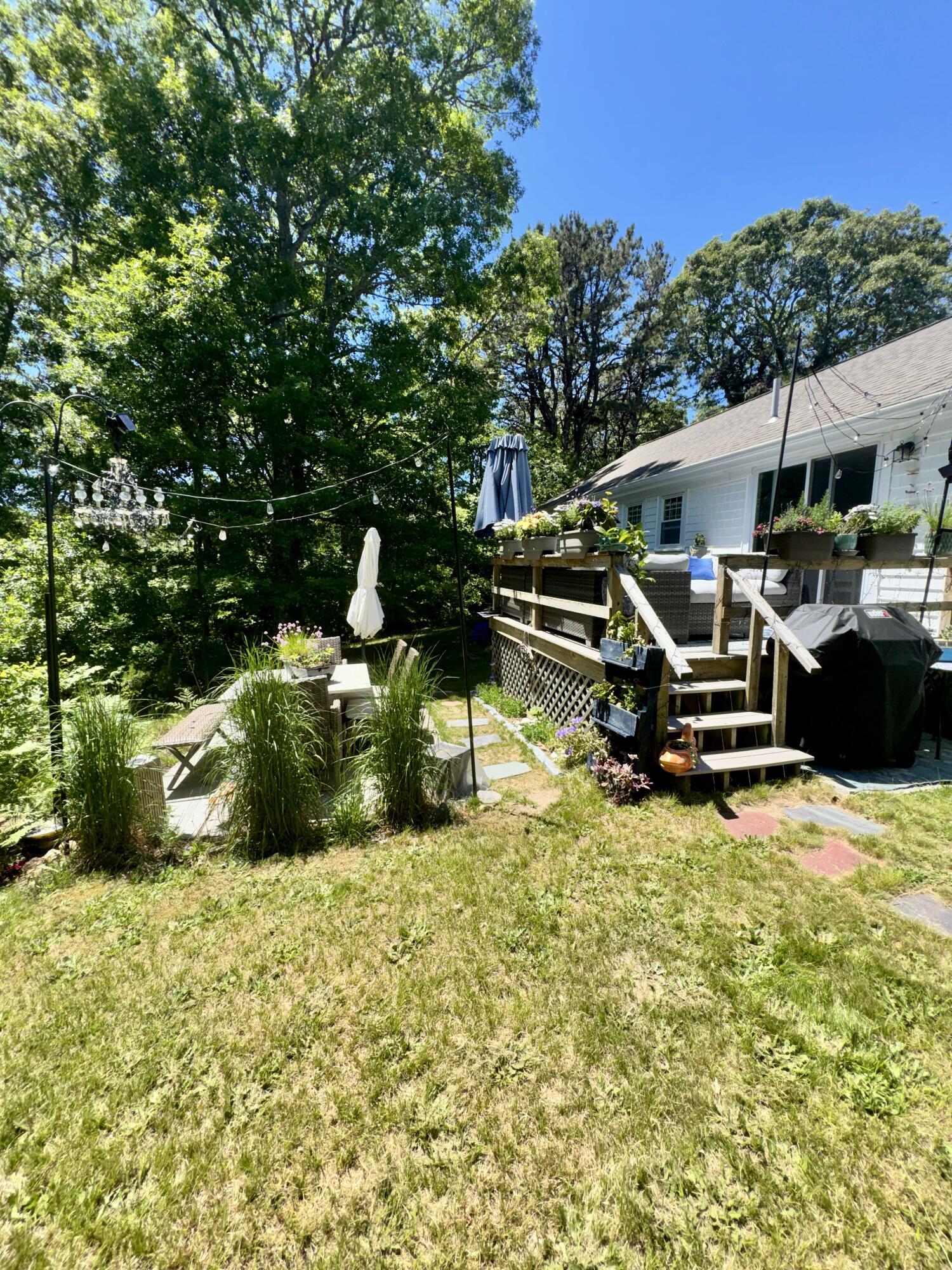 62 Bridle Path Road Brewster, MA 02631 - Photo 17 of 17 back yard