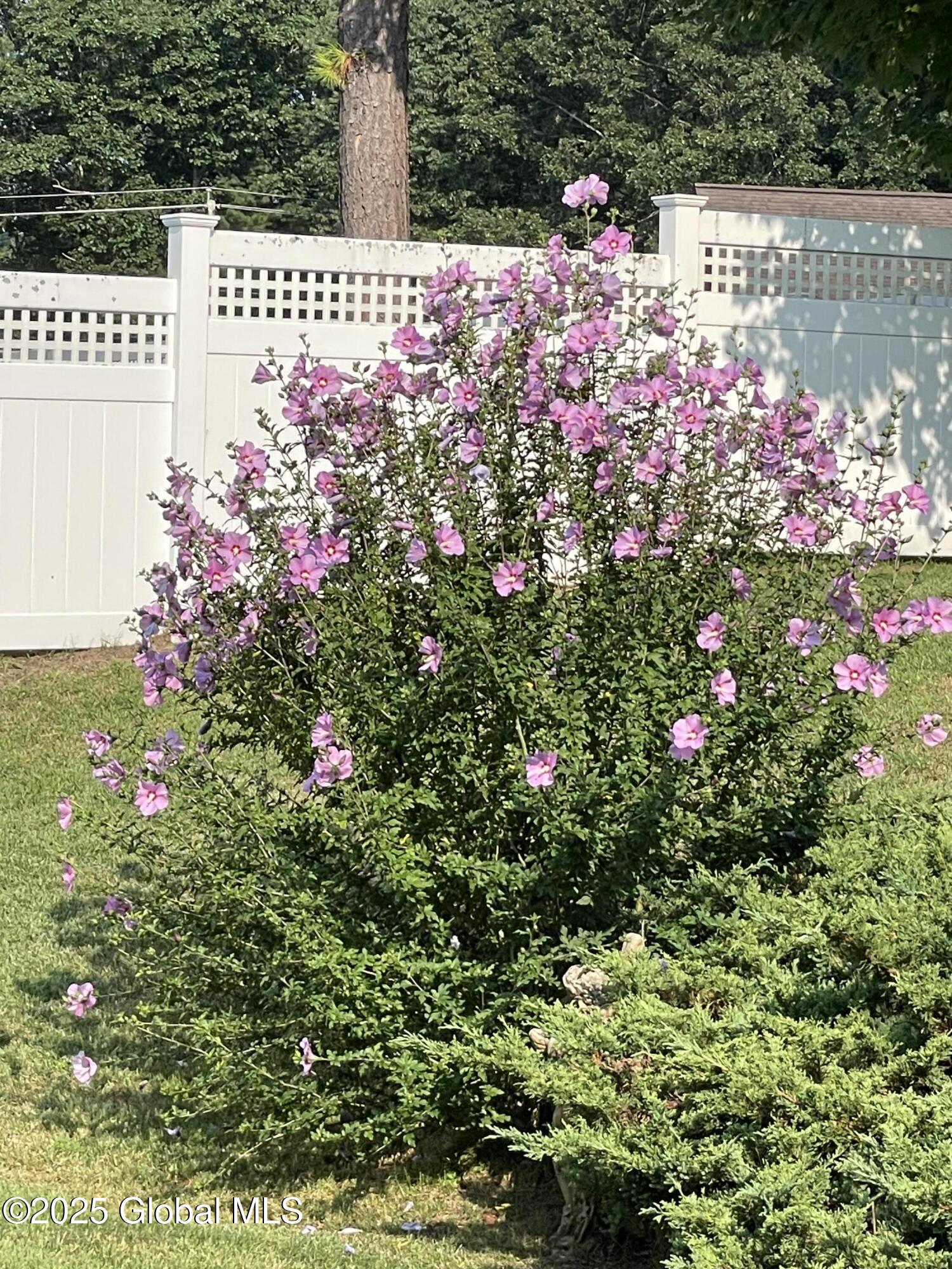 8 Maple Drive Queensbury, NY 12804 - Photo 26 of 35 8 maple 4