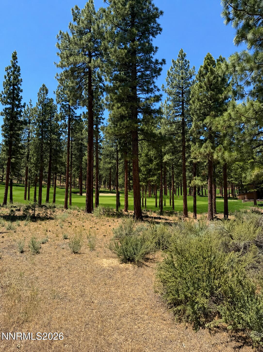 195 Walton Toll Road, Unit 210 Carson City, NV 89705 - Photo 1 of 41 On the 6th Fairway
