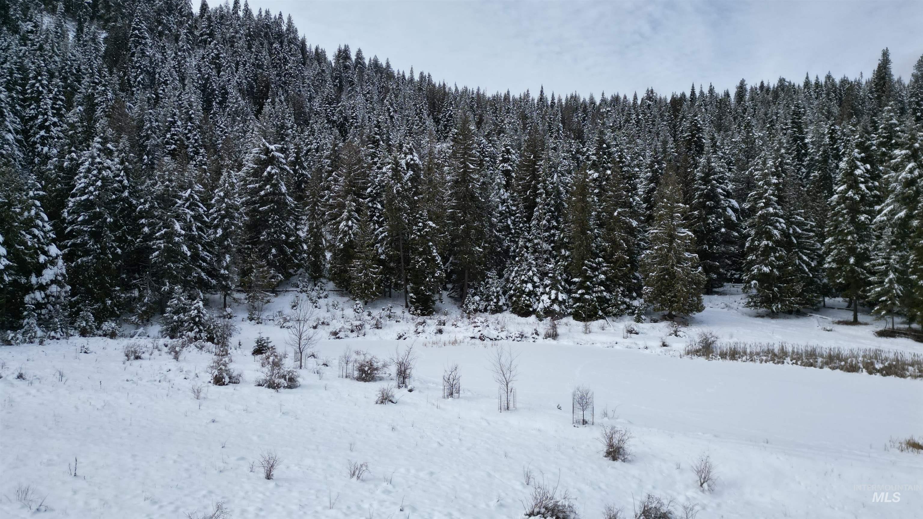 Tbd Galloway Drive Lenore, ID 83541 - Photo 5 of 10