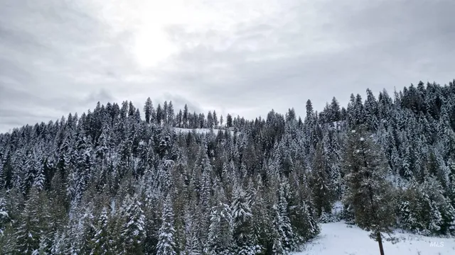 $324,900 | Tbd Galloway Drive, Lenore, ID 83541