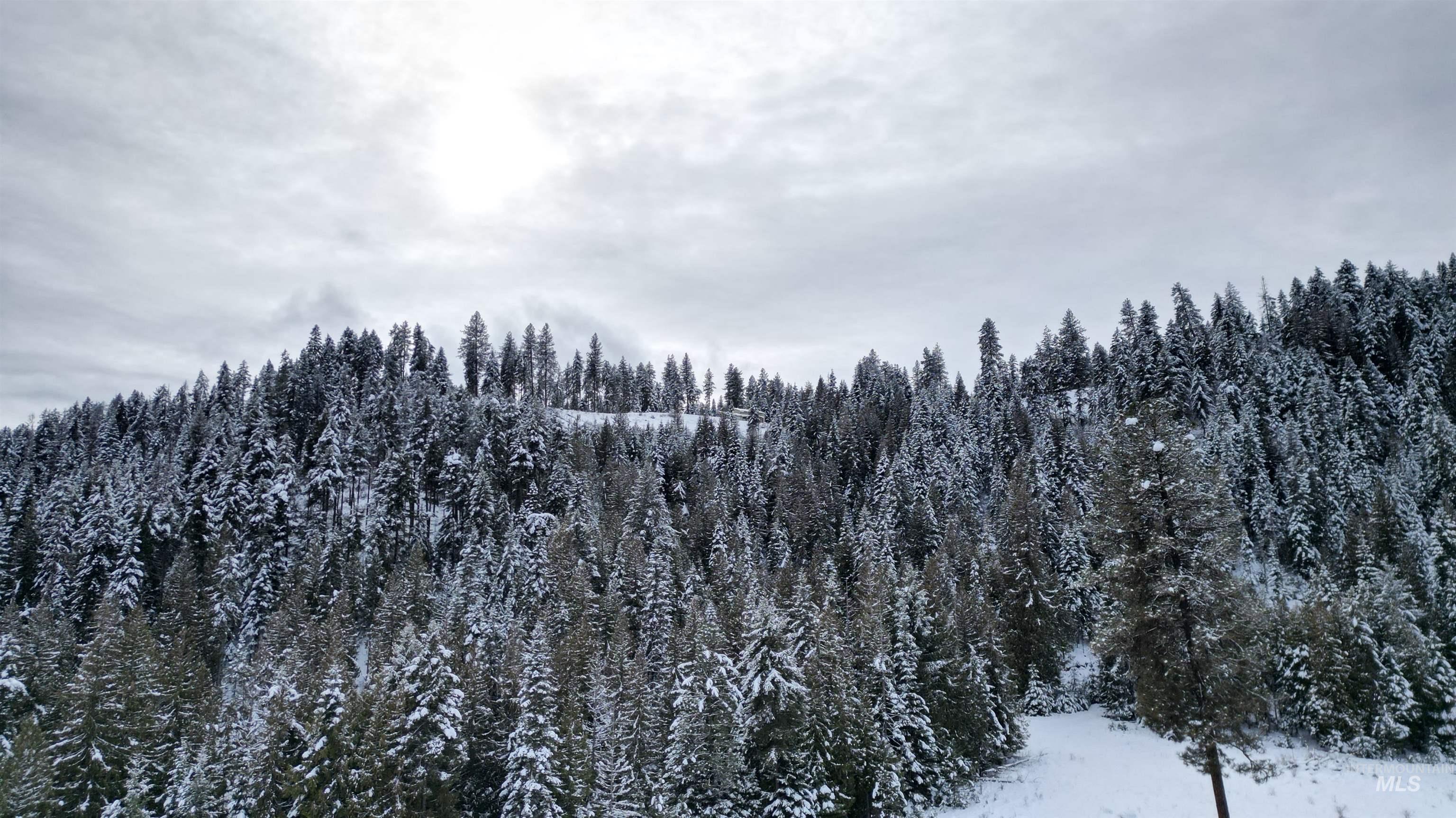 Tbd Galloway Drive Lenore, ID 83541 - Photo 7 of 10