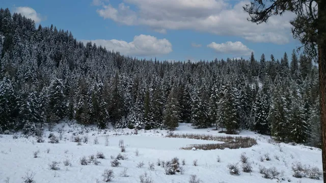 $324,900 | Tbd Galloway Drive, Lenore, ID 83541