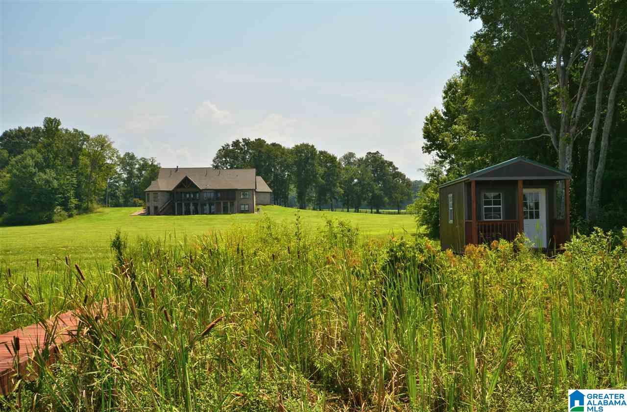 4371 McGowans Ferry Road Childersburg, AL 35044 - Photo 47 of 47