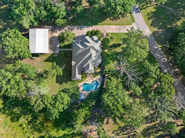 a view of a lush green forest