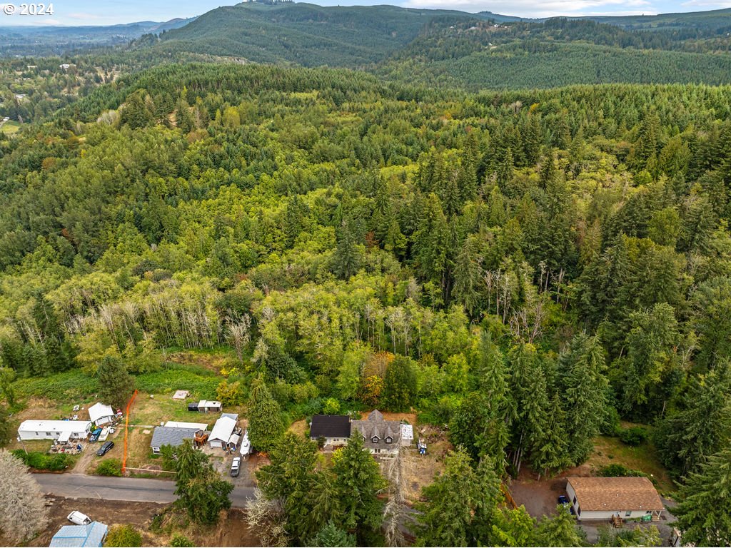 220 Holcomb Spur Road Kelso, WA 98626 - Photo 4 of 32 Gallery Image 4
