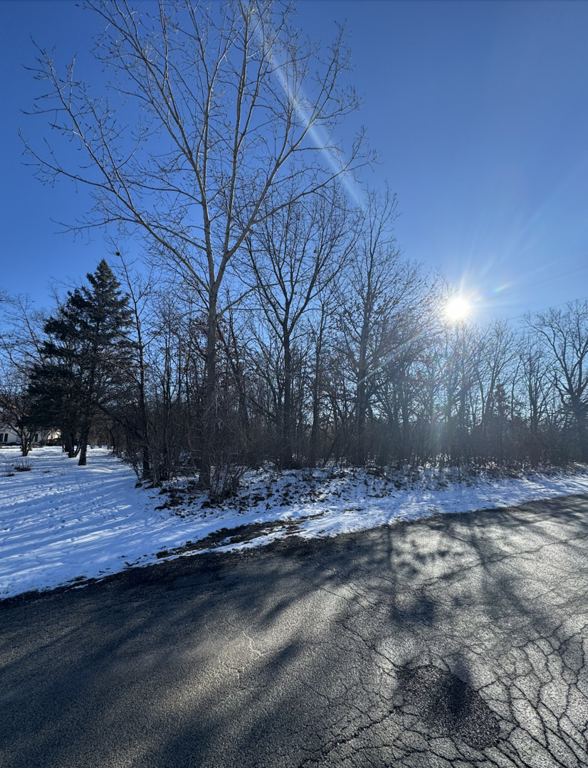 1365 Gordon Lane Lemont, IL 60439 - Photo 2 of 3 a view of a backyard of the house