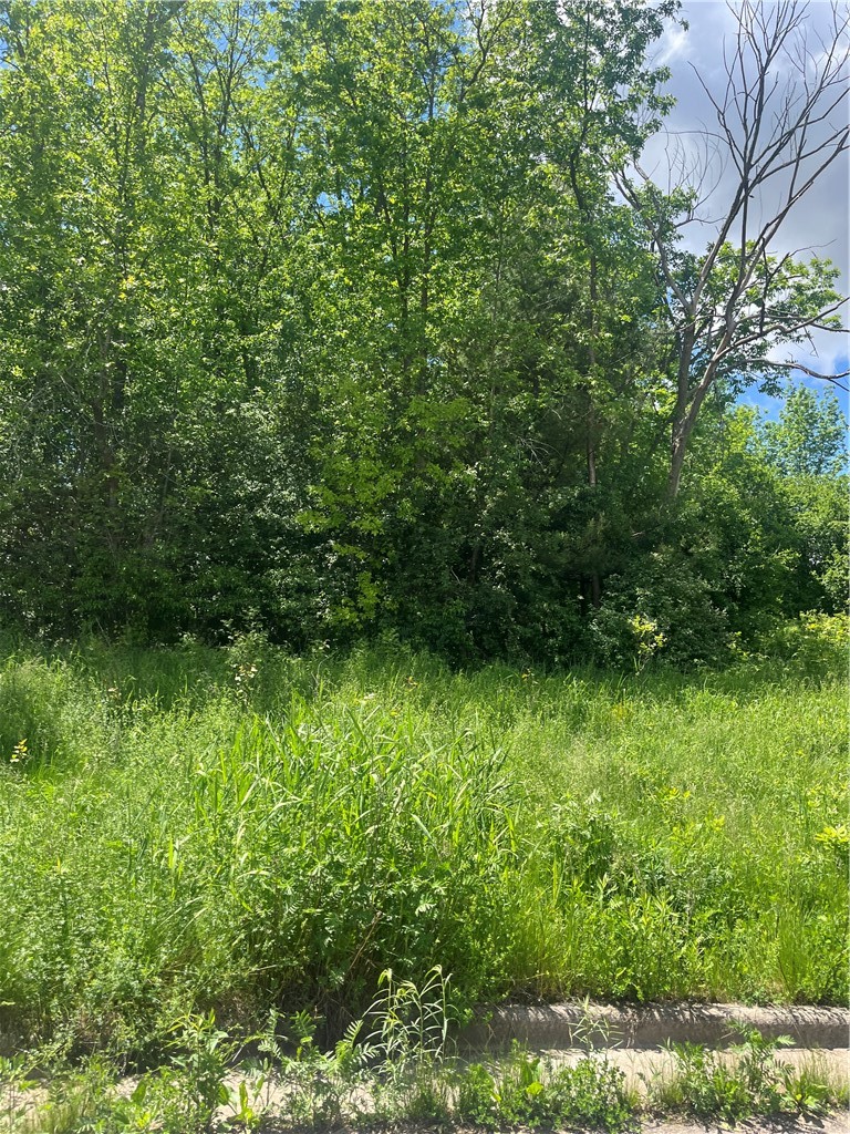 950 Emerald Court Rice Lake, WI 54868 - Photo 7 of 9