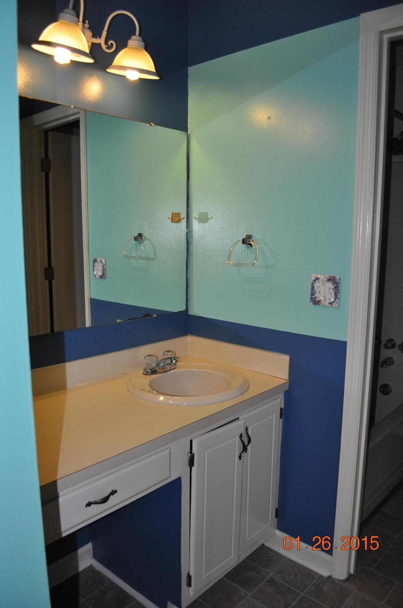 517 Temple Road Ladson, SC 29456 - Photo 9 of 10 Master Bath