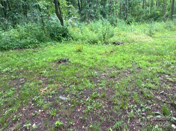 0 Bishop Lane Mill Spring, NC 28756 - Photo 1 of 3