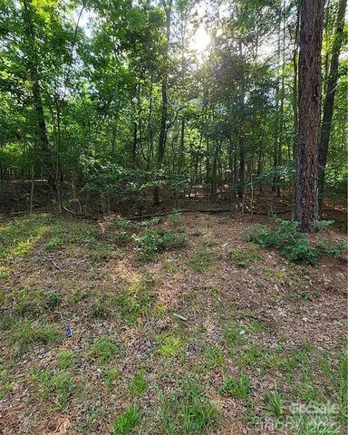 a view of outdoor space with green space